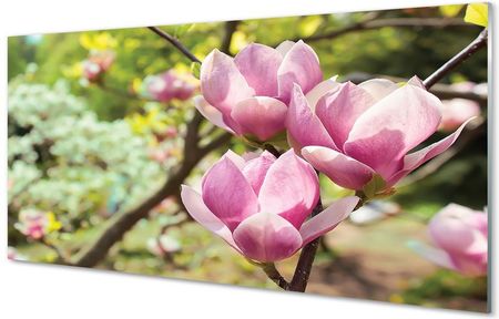 Tulup Obrazy Na Szkle Magnolia Drzewa 125X50Cm