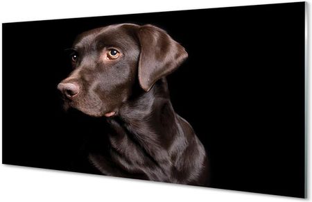 Tulup Obrazy Akrylowe Brązowy Pies 120X60Cm