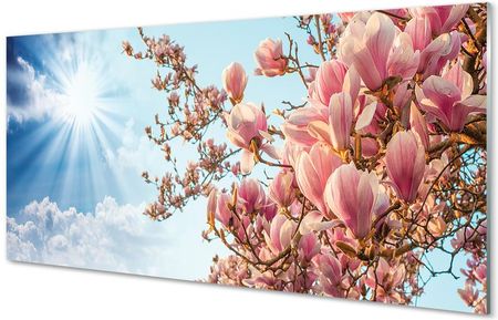 Tulup Szklany Panel Magnolia Niebo Słońce 125X50Cm