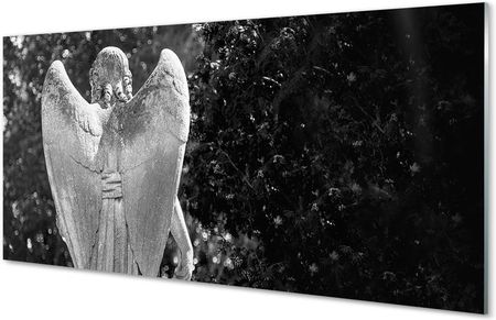 Tulup Obrazy Akrylowe Anioł Skrzydła Drzewa 100X50Cm