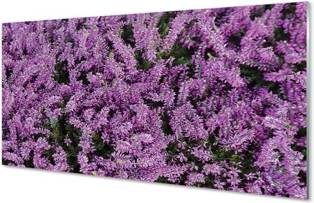 Tulup Szklany Panel Fioletowe Kwiaty 125X50Cm