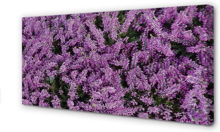 Tulup Obrazy Na Płótnie Fioletowe Kwiaty 125X50Cm