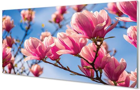 Tulup Obrazy Akrylowe Kwiaty Drzewa 125X50Cm
