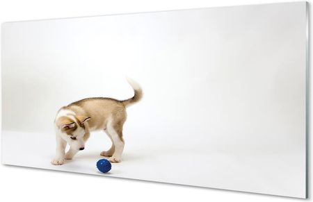 Tulup Obrazy Akrylowe Bawiący Się Pies 100X50Cm