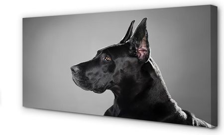 Tulup Obrazy Na Płótnie Czarny Pies 120X60Cm