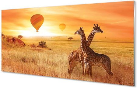 Tulup Obrazy Akrylowe Balony Niebo Żyrafy 120X60Cm