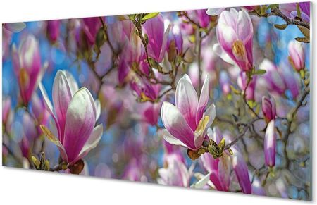 Tulup Obrazy Akrylowe Magnolia Drzewa 100X50Cm