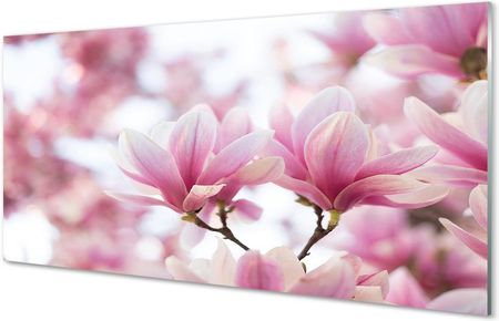 Tulup Obrazy Akrylowe Magnolia Drzewa 120X60Cm