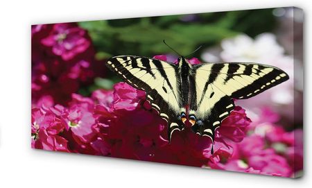 Tulup Obrazy Na Płótnie Kwiaty Motyl 140X70Cm