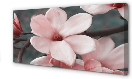 Tulup Obrazy Na Płótnie Różowe Kwiaty 120X60Cm