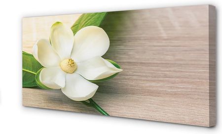 Tulup Obrazy Na Płótnie Biała Magnolia 125X50Cm