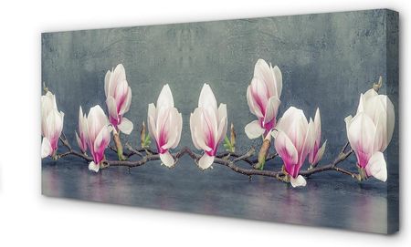 Tulup Obrazy Na Płótnie Gałąź Magnolii 125X50Cm