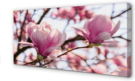 Tulup Obrazy Na Płótnie Magnolia Drzewa 100X50Cm