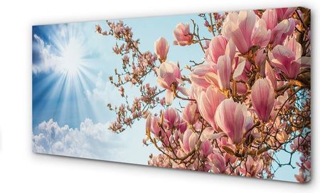 Tulup Obrazy Na Płótnie Magnolia Niebo Słońce 100X50Cm