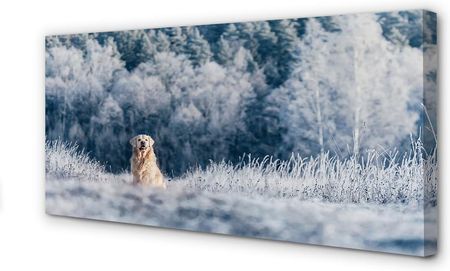 Tulup Obrazy Na Płótnie Pies Góry Zima 140X70Cm