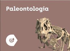 Zdjęcie Corinth Paleontologia I Kultura (DEA59993B) - Tłuszcz