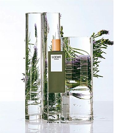 【Harushh 】LOEWEESENCIA Eau deToilette Loewe Esencia Woda Toaletowa Esencia Homme 100 ml - Opinie i
