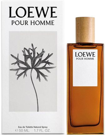 Loewe Pour Homme Woda Toaletowa I 100 ml