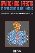 Zdjęcie Switching effects (EPUB) - Chorzów