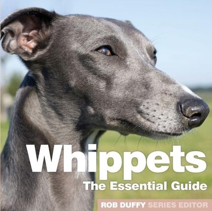 Whippets (Need2know Essential Guides)  