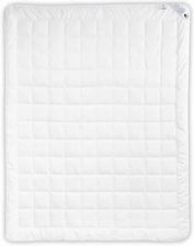 Zdjęcie Amz Kołdra Mikrofibra 180X200Cm 4489 - Izbica Kujawska