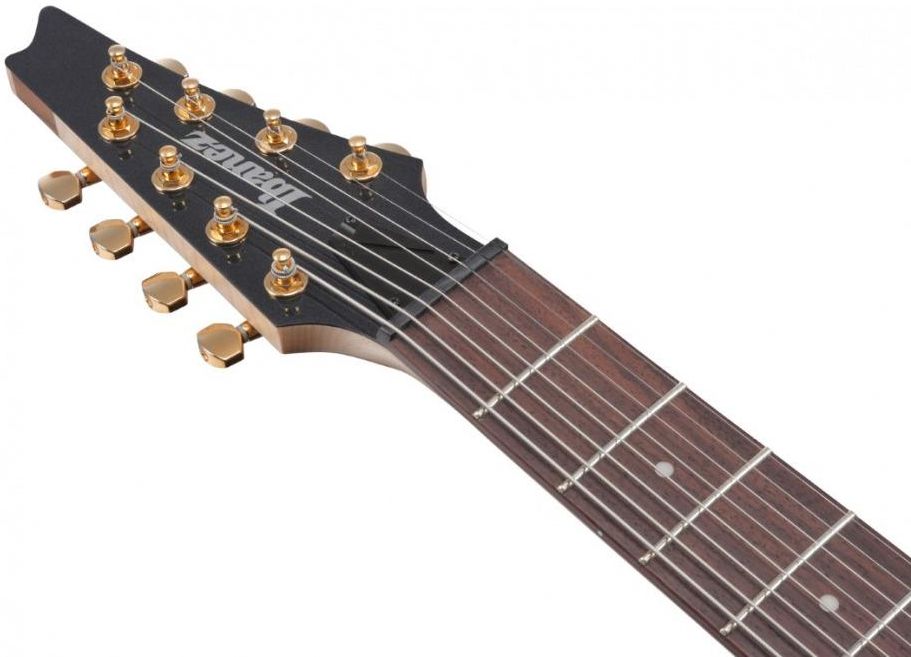 Ibanez RG80F-IPT - Gitara elektryczna - Ceny i opinie - Ceneo.pl