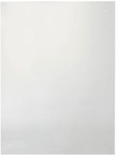 Zdjęcie Castorama Panel Kuchenny Szklany Goodhome Nashi 60cm Transparentny - Ostrowiec Świętokrzyski
