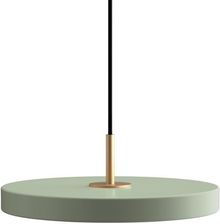 Zdjęcie Umage Asteria Mini nuance olive (2431) - Zakroczym