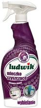 Zdjęcie Ludwik Mleczko Czyszczące Super Active Spray 750ml - Krajenka