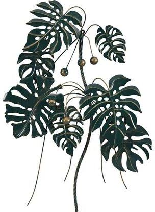 monstera thai steckling Monstera Thai Constellation