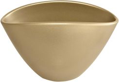 Zdjęcie Osłonka Storczyk Gold 26 Cm - Chojnów