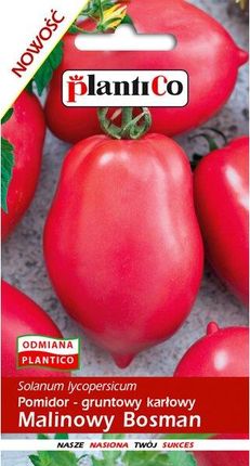 Pomidor Malinowy Bosman 0,5G 