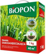 Trawa Samozagęszczająca 5Kg Biopon
