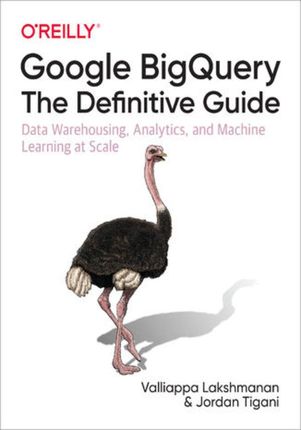 Google BigQuery: The Definitive Guide. Data