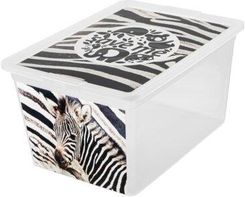 BRANQ Pojemnik X Box Deco Save Me 7330 Zebra