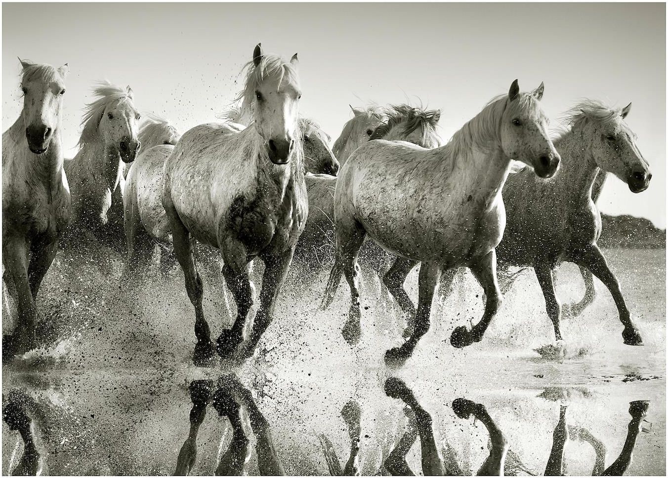 Ikea Pjätteryd Obraz 50495584 - Opinie i atrakcyjne ceny na Ceneo.pl