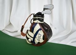 Zdjęcie Witek Home Model Wózka Golfowego - Dobra