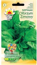 Zdjęcie Szpinak Olbrzym Zimowy 10G Toraf - Wrocław