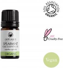 Zdjęcie Odylique Organiczna Mieszanka Olejków Eterycznych Przeciw Wszawicy, 5 Ml - Zamość