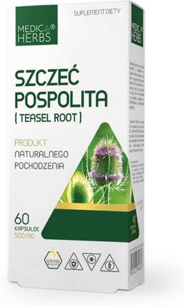 MEDICA HERBS Szczeć Pospolita Teasel Root 500mg 60 kaps