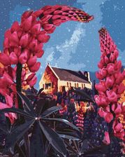 Zdjęcie Ipicasso Kwitnąc Pod Niebem 40X50 Malowanie Po Numerach - Ostrowiec Świętokrzyski