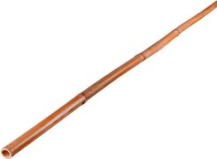 Zdjęcie Tyczka Bambusowa 90 Cm - Krośniewice