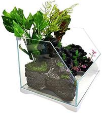 Zdjęcie Sunsun Aqua Paludarium 30L Zestaw - Ostrów Wielkopolski