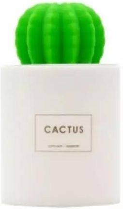 La Casa De Los Aromas Flor De Mayo Nawilżacz Powietrza Cactus