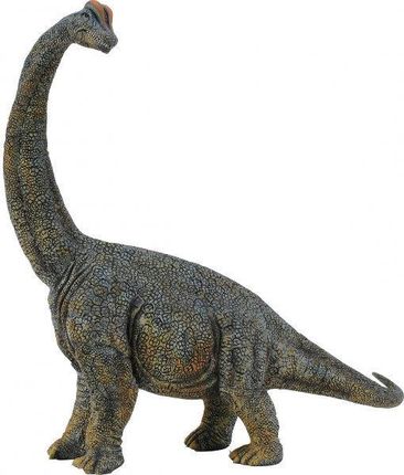 Collecta Zwierzęta Prehistoryczne Dinozaur Brachiozaur (88405)