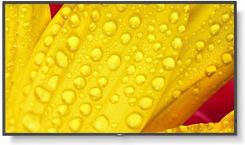 Zdjęcie Nec MultiSync ME431 - Strzegom