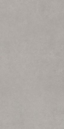 Paradyż Płytka Podłogowa Intero Silver 29,8X59,8 Mat