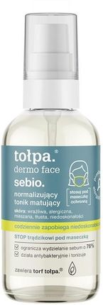 Tołpa Normalizujący Tonik Matujący 100Ml