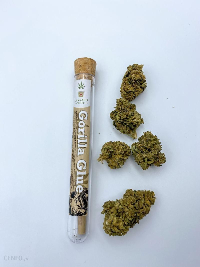 Preparat Medycyny Naturalnej Cannabis Spot Joint Gorilla Glue 6,5% Cbd Skręt Susz Naturalny Raw 1G - Opinie I Ceny Na Ceneo.pl