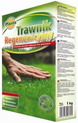 Nasiona Trawy Regeneracyjnej 1Kg Planta